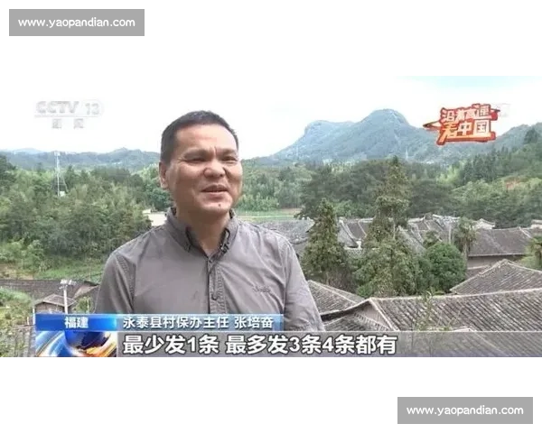 比赛扒衣背后的文化现象与社会争议深度剖析